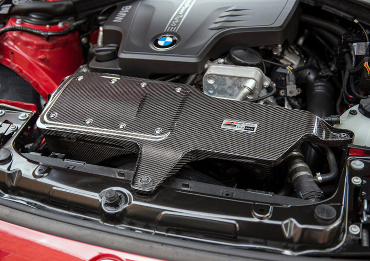 AWE Tuning BMW 228i/320i/328i/428i S-FLO Carbon Intake