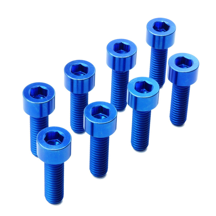 Titanium Camber Top Plate Bolt Kit — Universal Coilover & Air Suspension (Socket Cap, Set of 8)