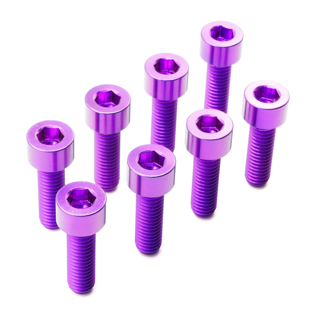 Titanium Camber Top Plate Bolt Kit — Universal Coilover & Air Suspension (Socket Cap, Set of 8)
