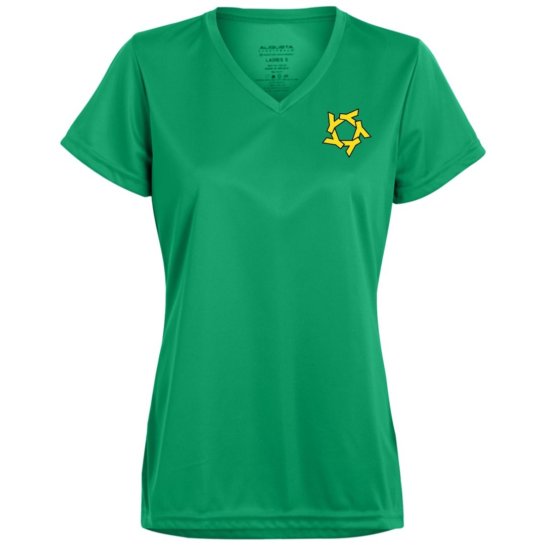 YSR Ladies’ Moisture-Wicking V-Neck Tee