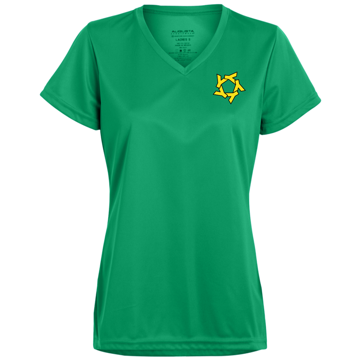 YSR Ladies’ Moisture-Wicking V-Neck Tee