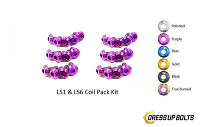 LS1 - LS6 Titanium Dress Up Bolts Coil Pack Kit (Corvette, Camaro, Trans AM, GTO) - DressUpBolts.com