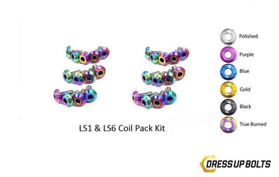 LS1 - LS6 Titanium Dress Up Bolts Coil Pack Kit (Corvette, Camaro, Trans AM, GTO) - DressUpBolts.com
