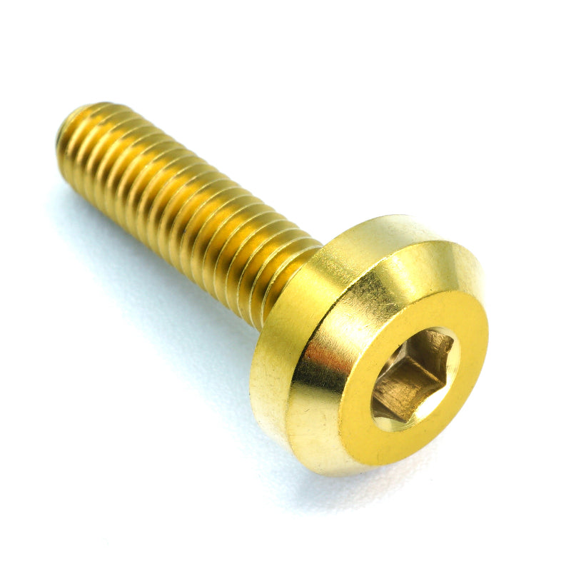 M6 x 1.00 x 24mm Titanium Motor Head Bolt
