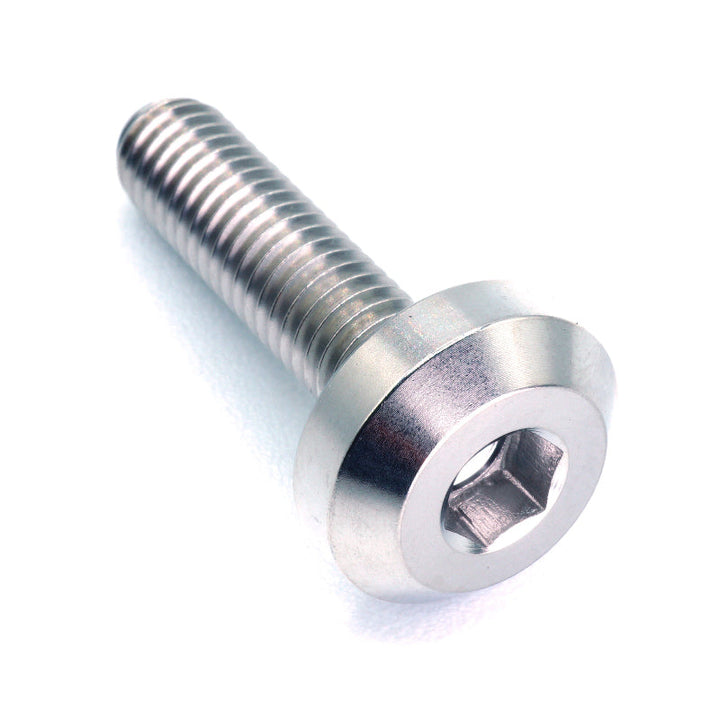 M6 x 1.00 x 24mm Titanium Motor Head Bolt