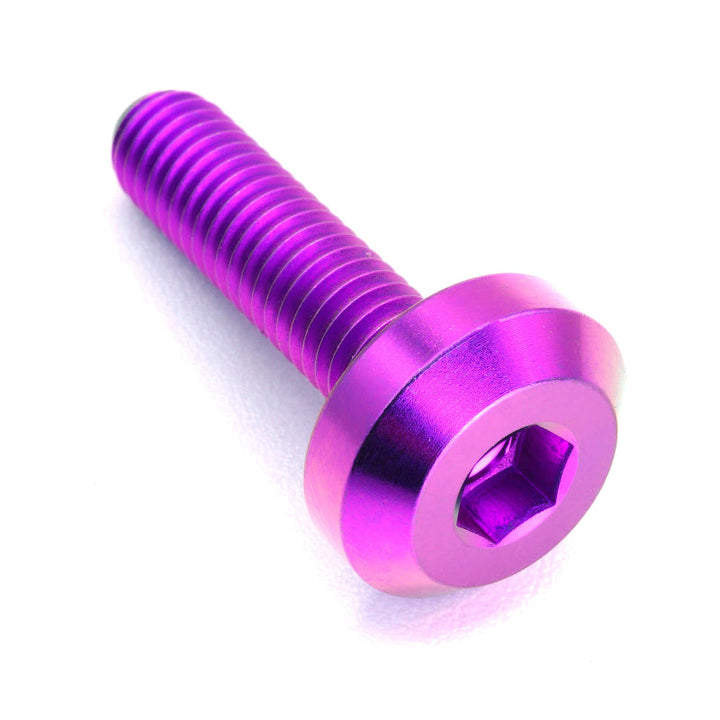 M6 x 1.00 x 24mm Titanium Motor Head Bolt