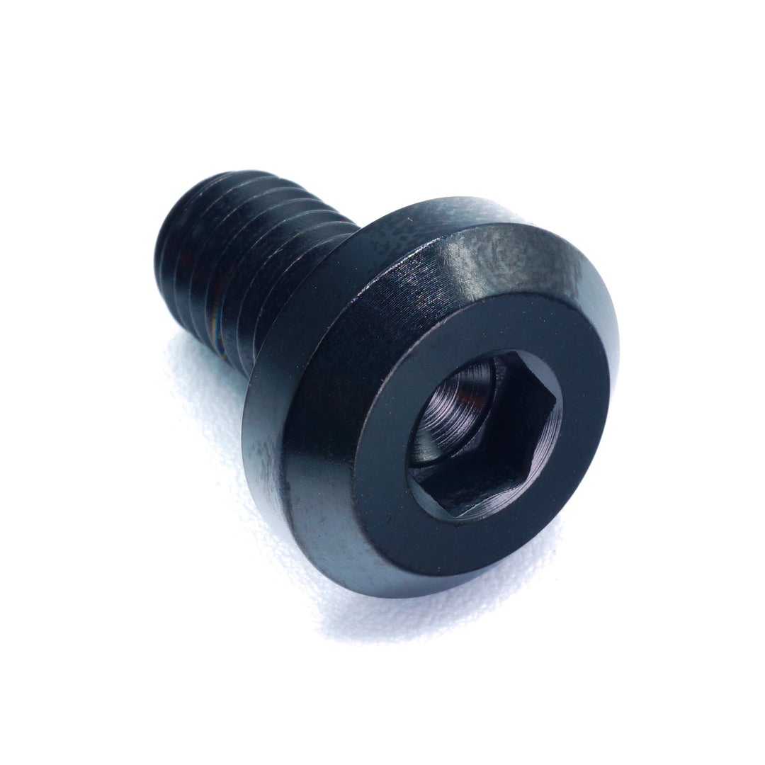 M8 x 1.25 x 15mm Titanium Motor Head Bolt
