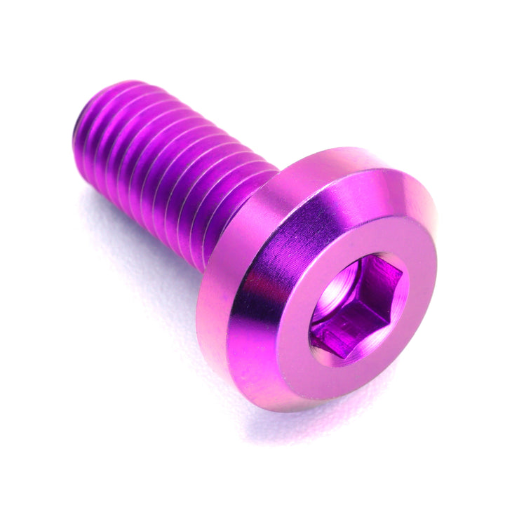 M8 x 1.25 x 20mm Titanium Motor Head Bolt