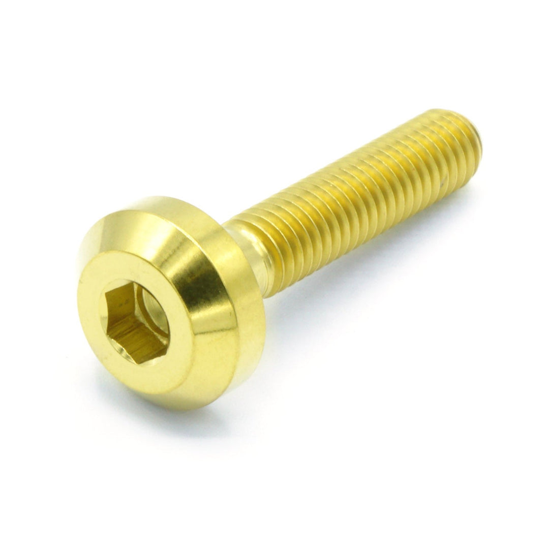 M6 x 1.00 x 30mm Titanium Motor Head Bolt