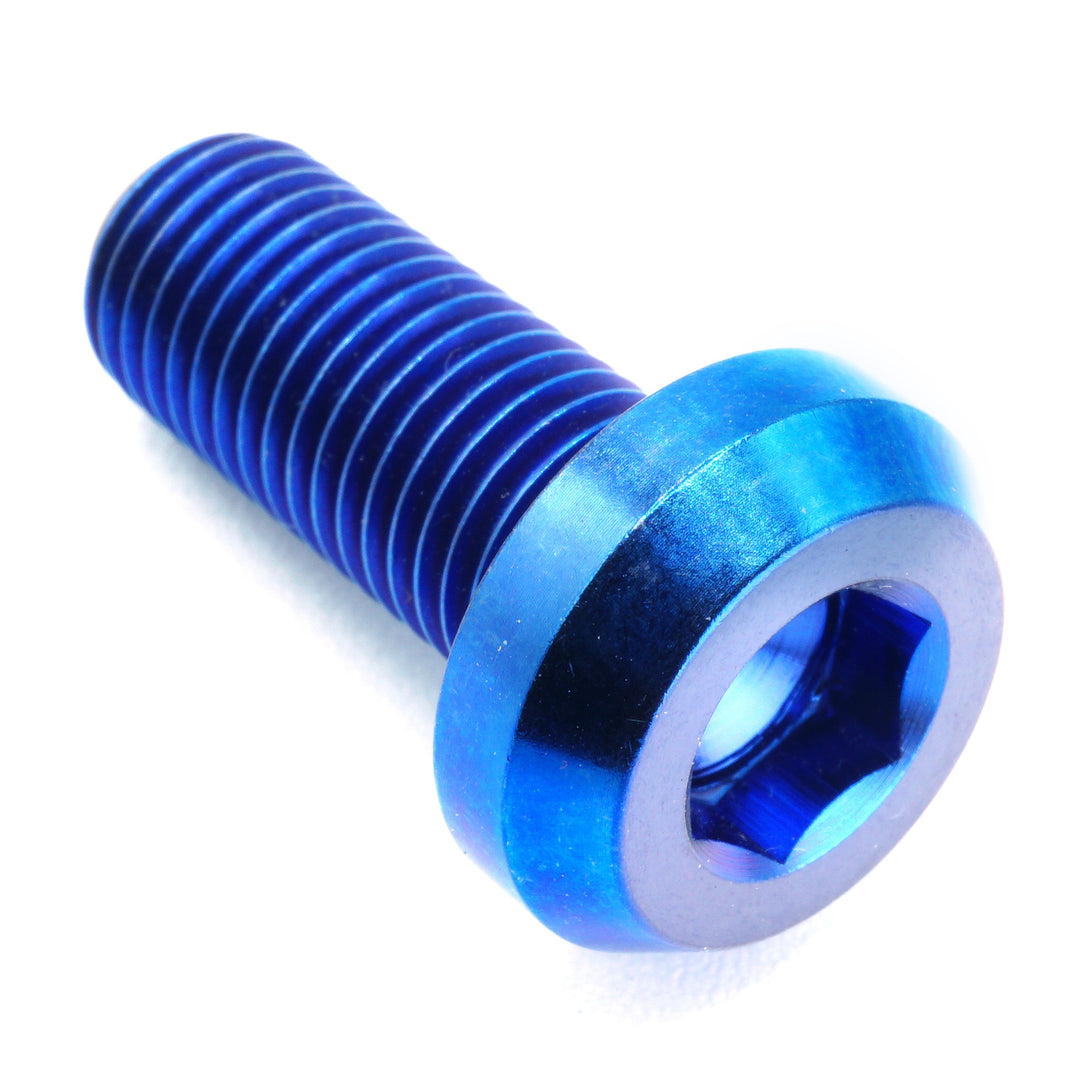 M10 x 1.25 x 25mm Titanium Motor Head Bolt