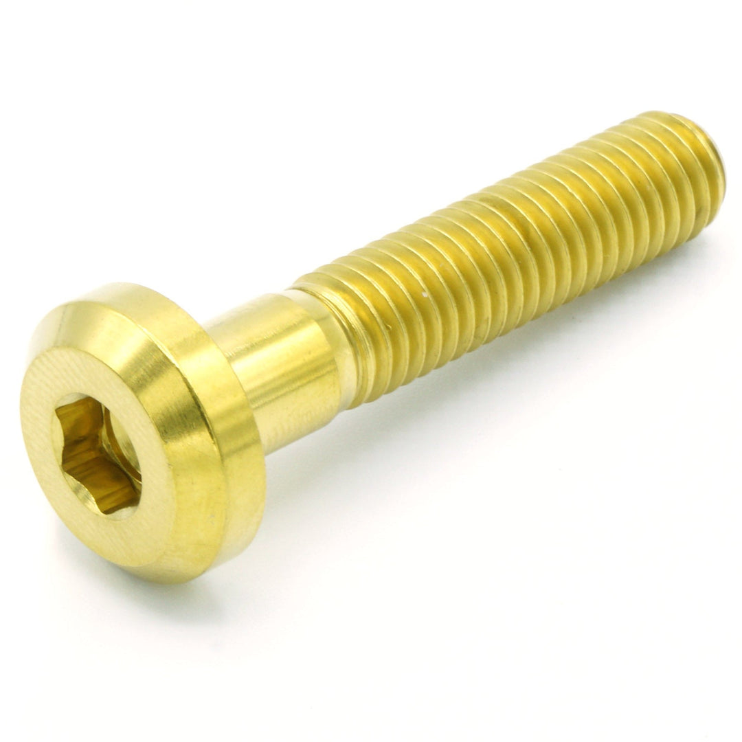 M8 x 1.25 x 40mm Titanium Motor Head Bolt