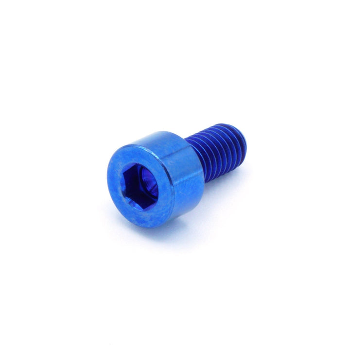 M6 x 1.00 x 10mm Titanium Socket Cap Bolt
