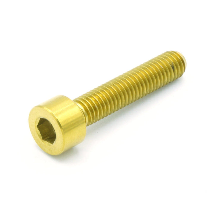 M5 x .8 x 25mm Titanium Socket Cap Bolt