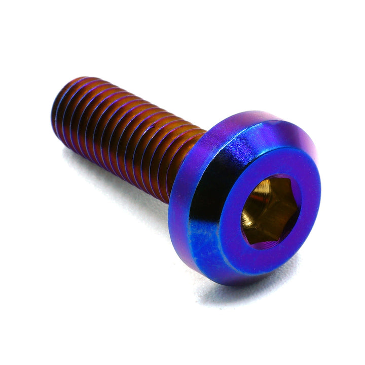M8 x 1.25 x 25mm Titanium Motor Head Bolt