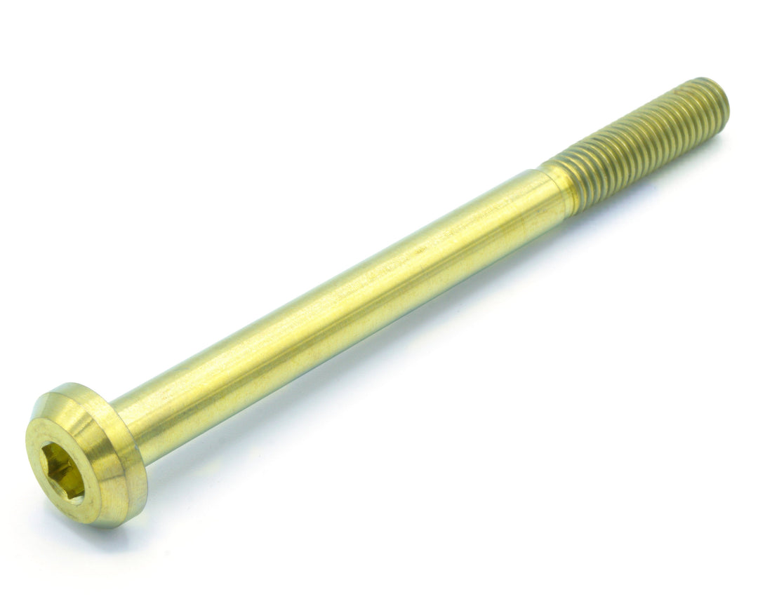 M8 x 1.25 x 100mm Titanium Motor Head Bolt