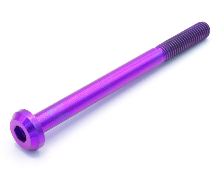 M8 x 1.25 x 100mm Titanium Motor Head Bolt