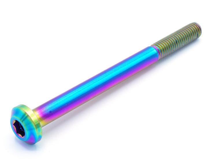 M8 x 1.25 x 100mm Titanium Motor Head Bolt
