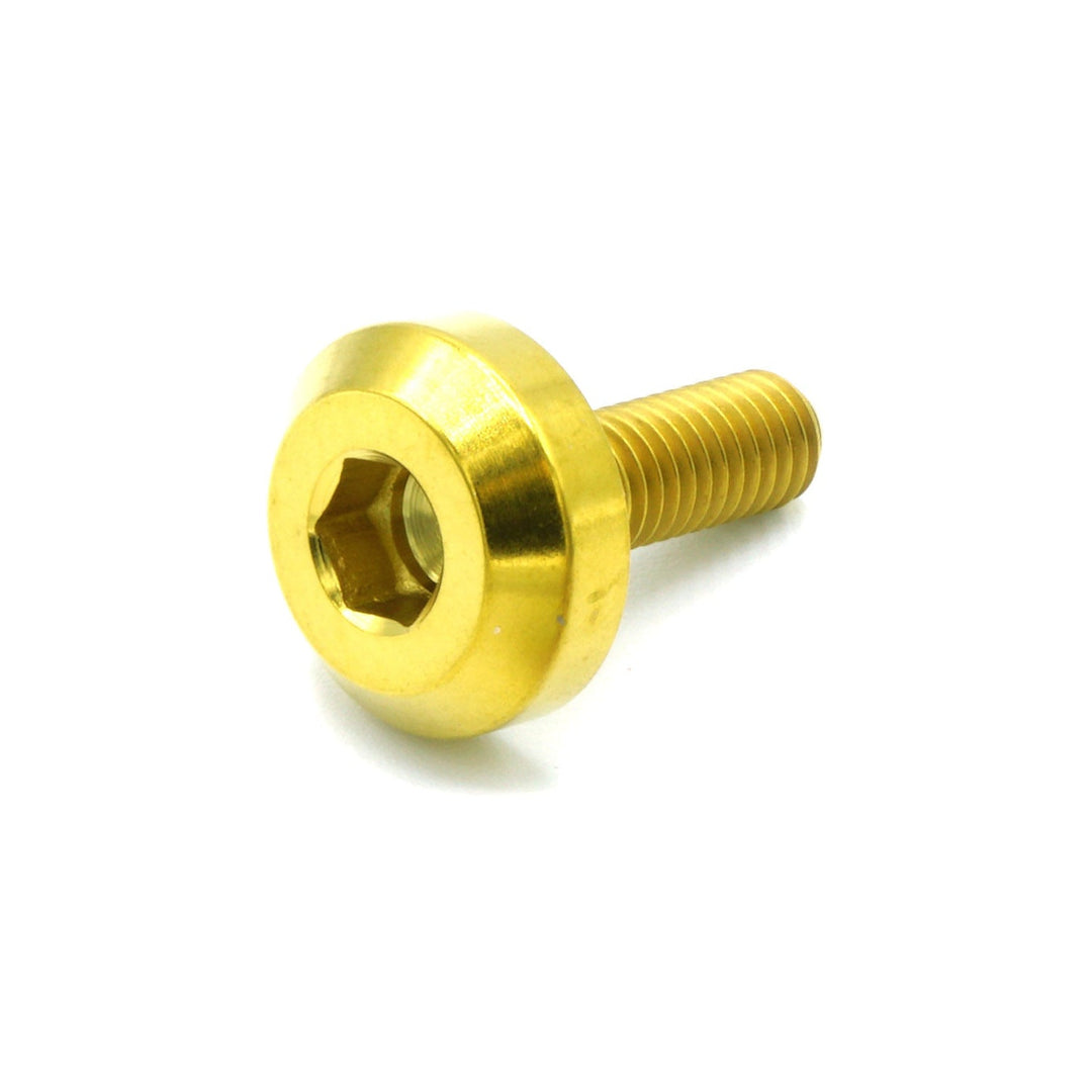M5 x .8 x 15mm Titanium Motor Head Bolt