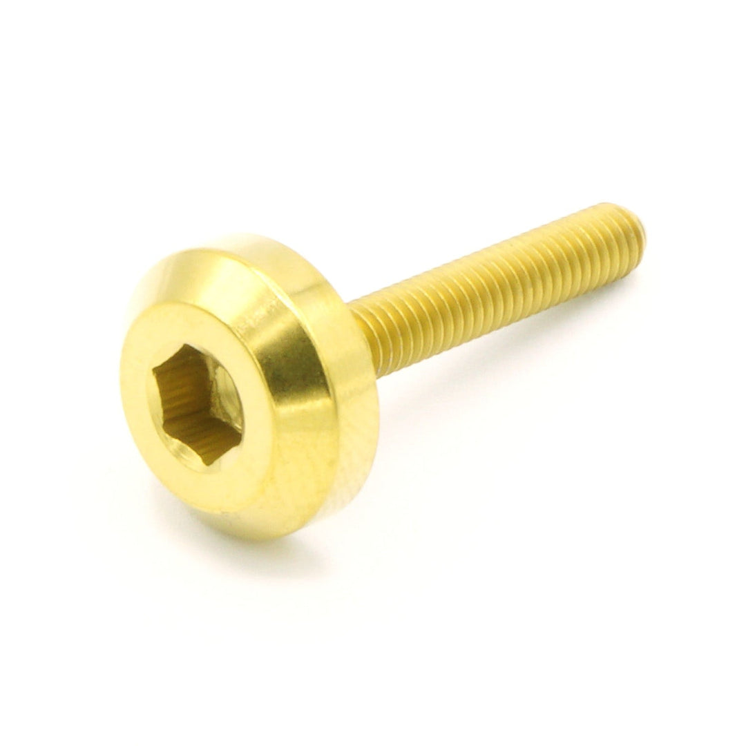 M4 x .7 x 25mm Titanium Motor Head Bolt