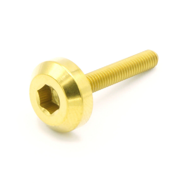 M4 x .7 x 25mm Titanium Motor Head Bolt