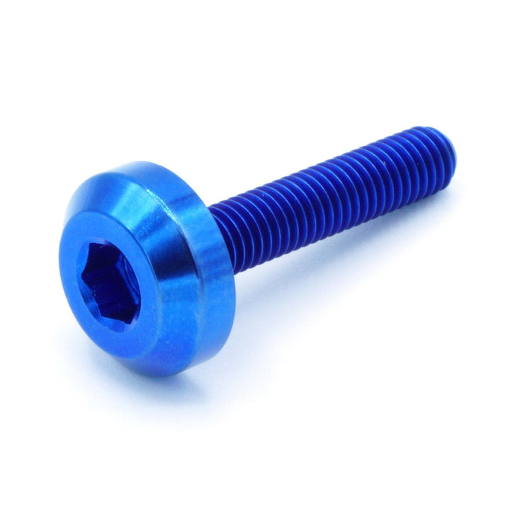 M5 x .8 x 25mm Titanium Motor Head Bolt