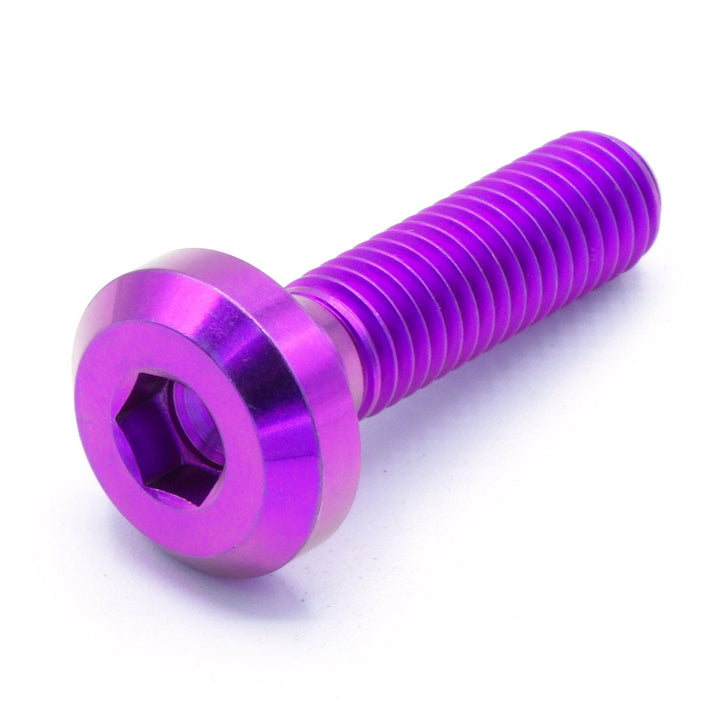 M8 x 1.25 x 30mm Titanium Motor Head Bolt