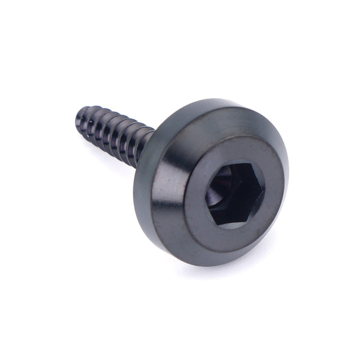 M4 x 1.4 x 20mm Titanium Motor Head Screw