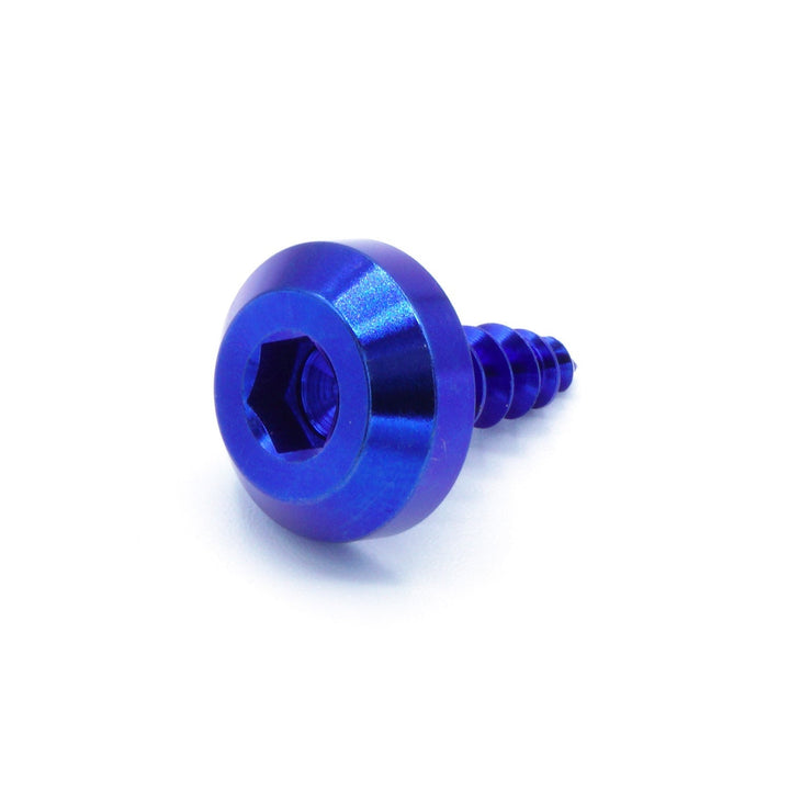M5 x 2.0 x 15mm Titanium Motor Head Screw