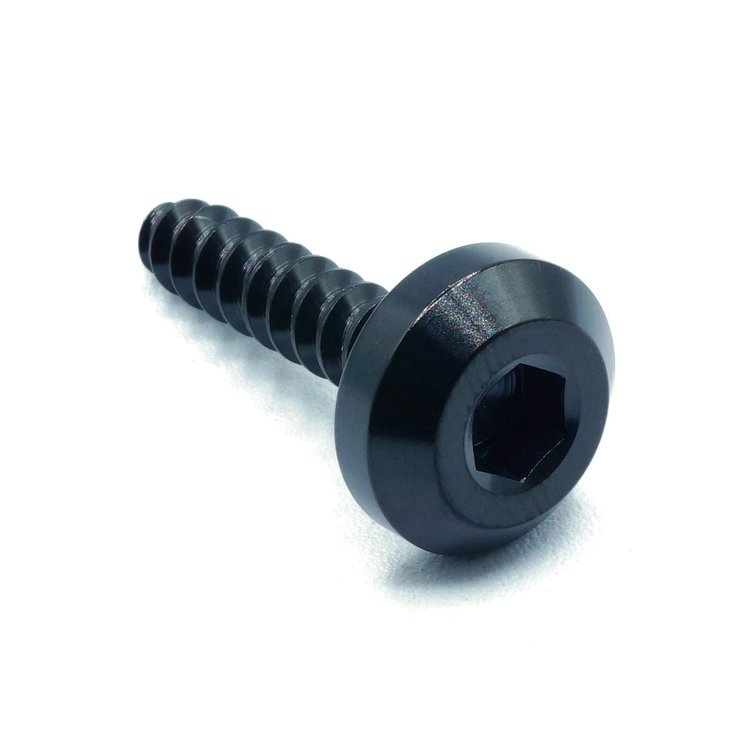 M5 x 2.0 x 25mm Titanium Motor Head Screw