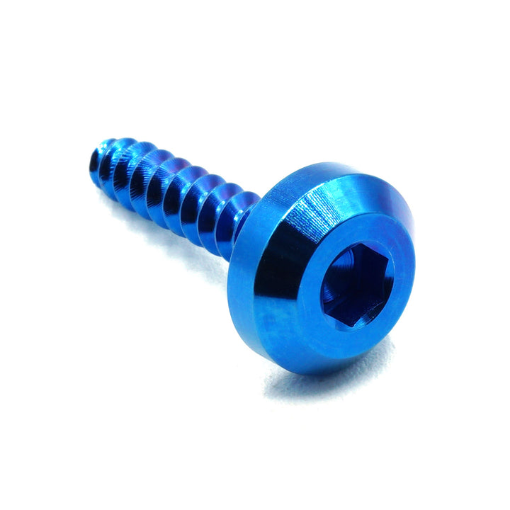 M5 x 2.0 x 25mm Titanium Motor Head Screw