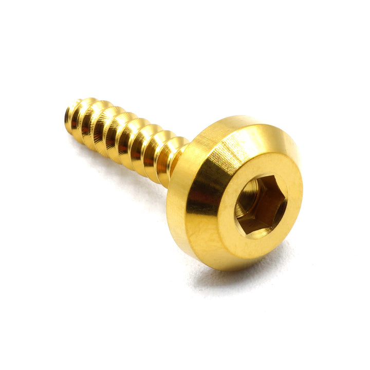 M5 x 2.0 x 25mm Titanium Motor Head Screw