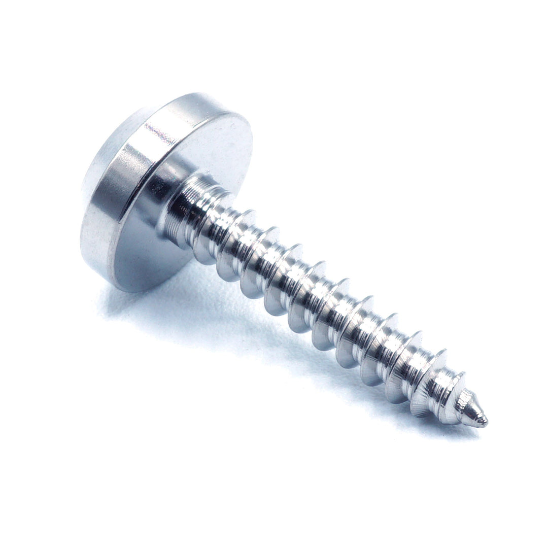 M5 x 2.0 x 25mm Titanium Motor Head Screw