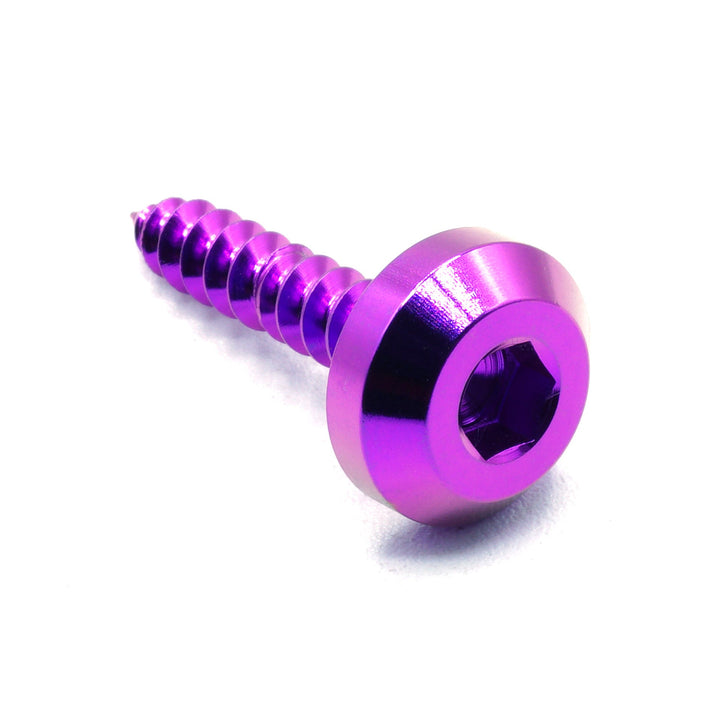 M5 x 2.0 x 25mm Titanium Motor Head Screw