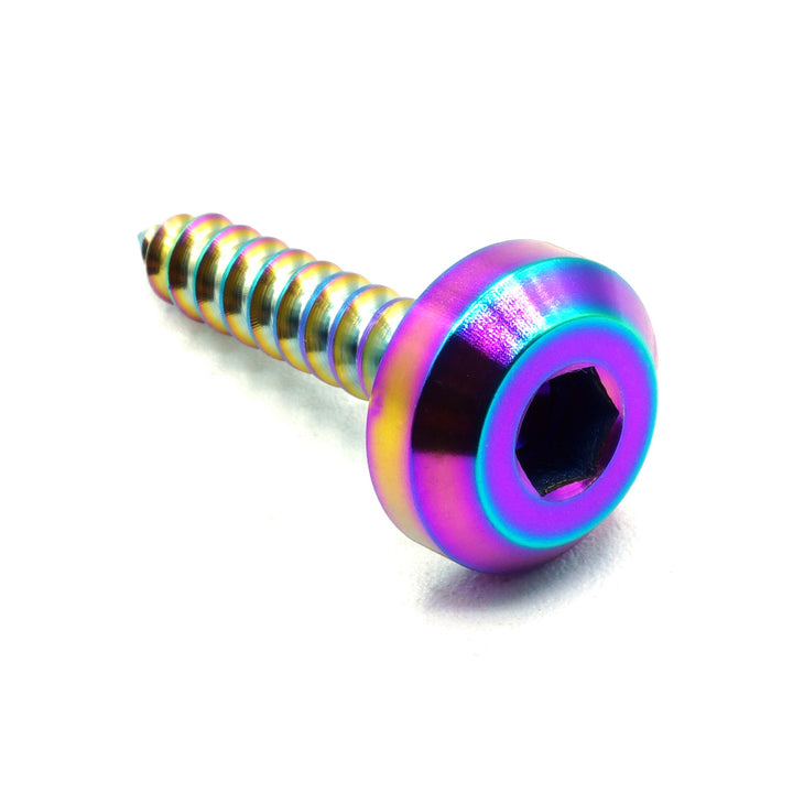 M5 x 2.0 x 25mm Titanium Motor Head Screw