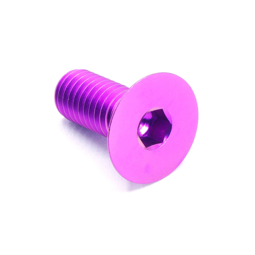 M8 x 1.25 x 20mm Titanium Countersunk Bolt