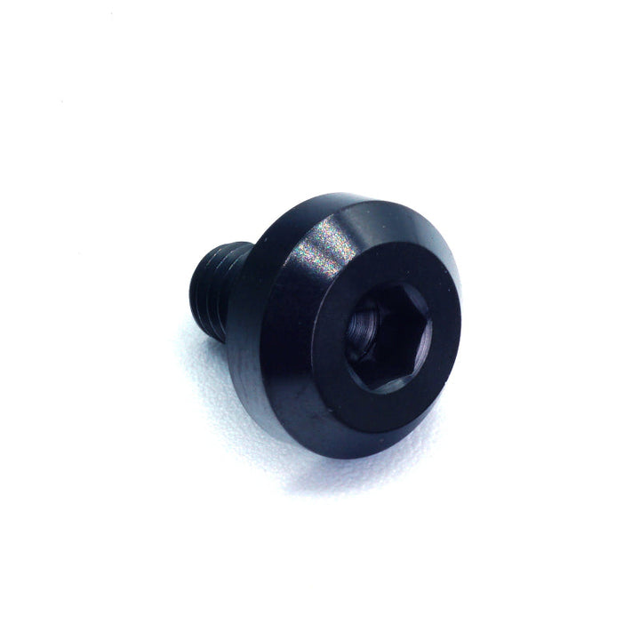 M6 x 1.00 x 10mm Titanium Motor Head Bolt