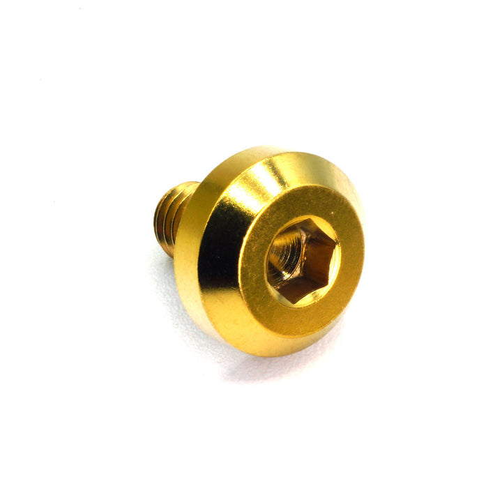 M6 x 1.00 x 10mm Titanium Motor Head Bolt