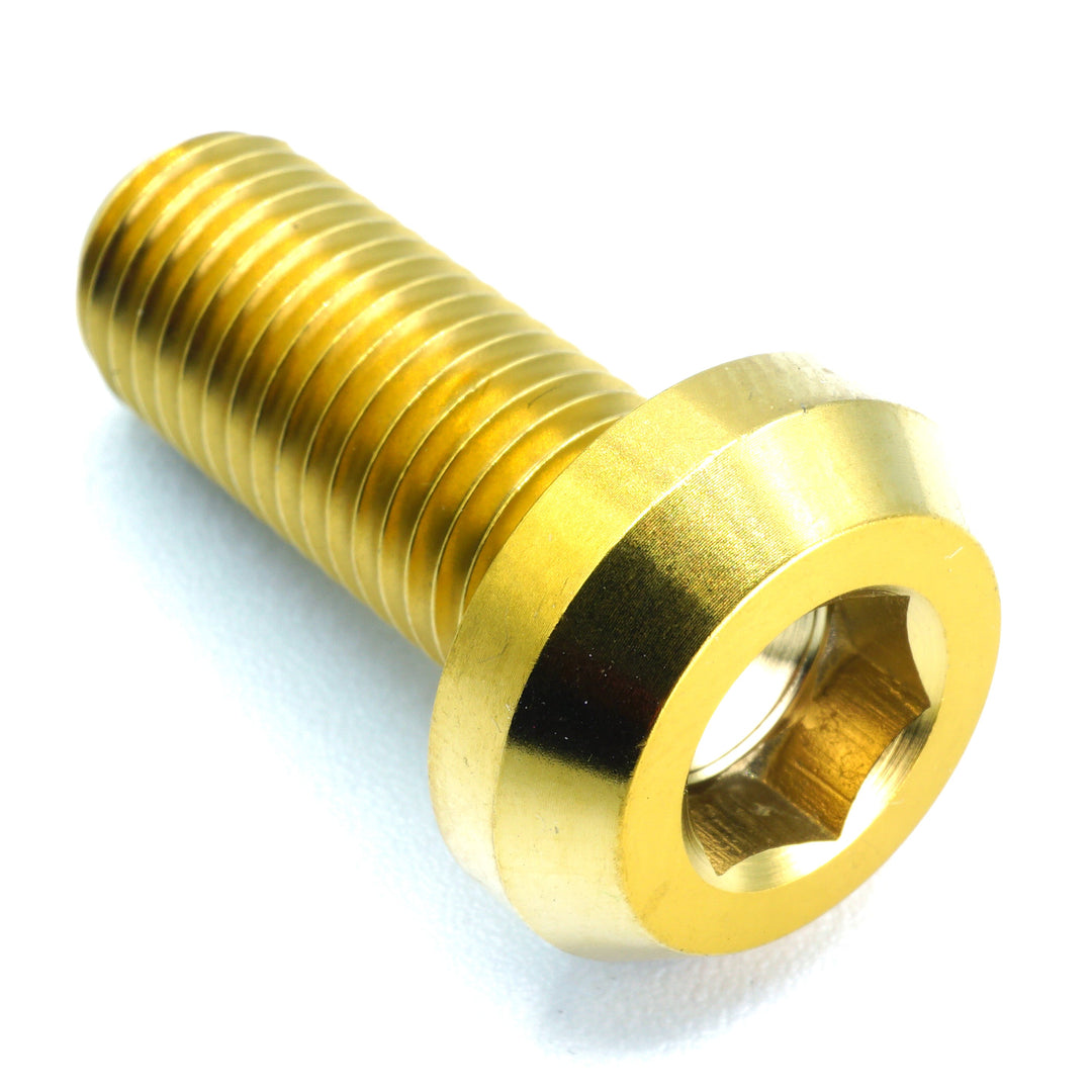 M10 x 1.50 x 30mm Titanium Motor Head Bolt