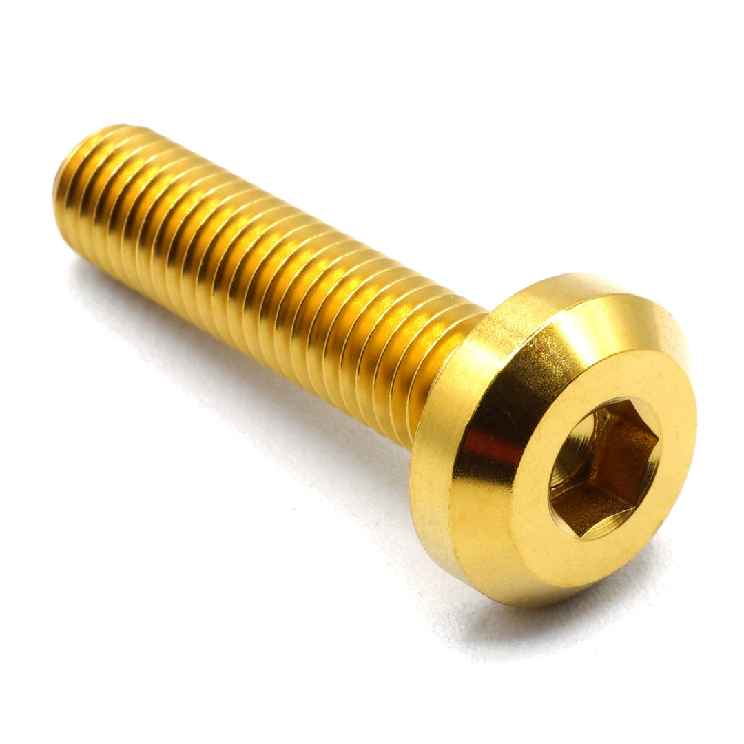 M8 x 1.25 x 35mm Titanium Motor Head Bolt