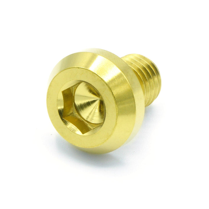 M10 x 1.25 x 15mm Titanium Motor Head Bolt