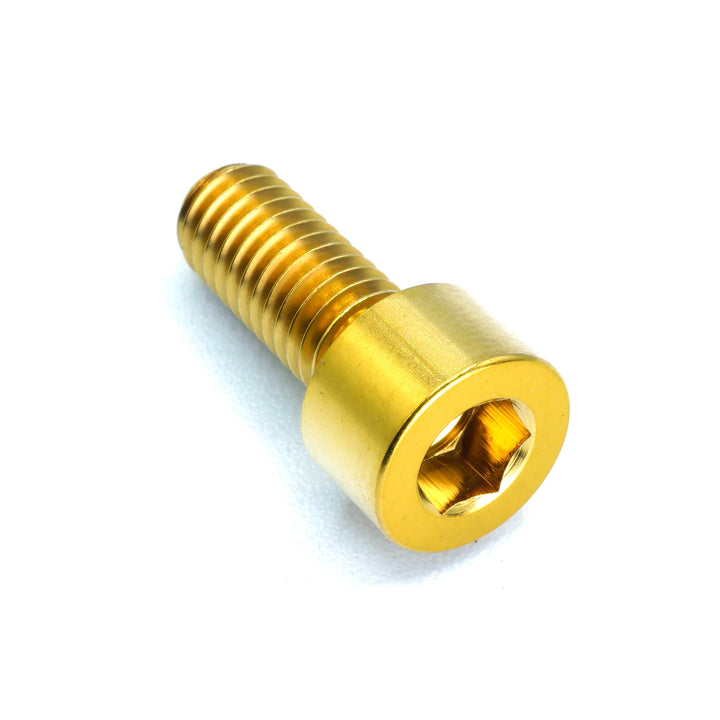 M6 x 1.00 x 25mm Titanium Socket Cap Bolt