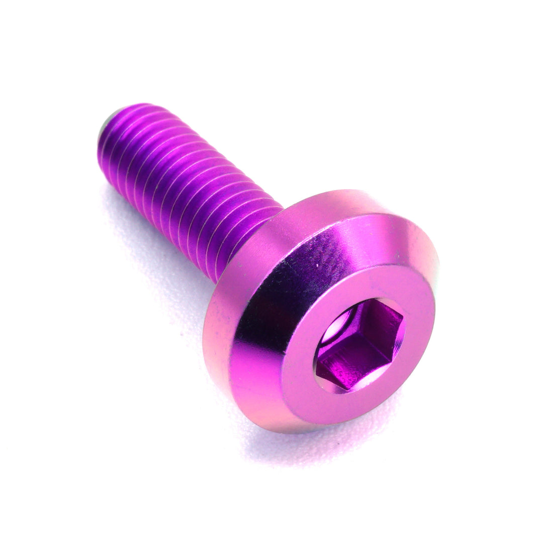M6 x 1.00 x 20mm Titanium Motor Head Bolt