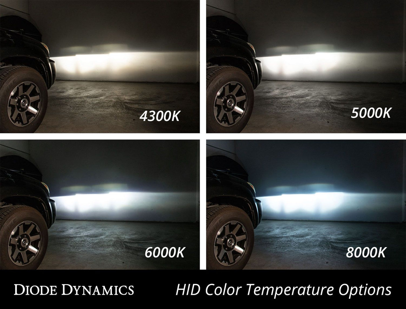 Diode Dynamics - 9012 HID Conversion Kit - Lowered Lifestyle
